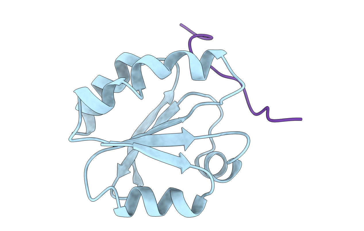 1MDI image
