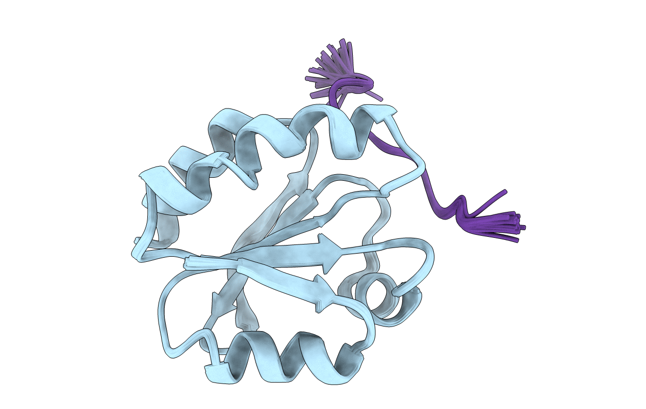 1MDK image