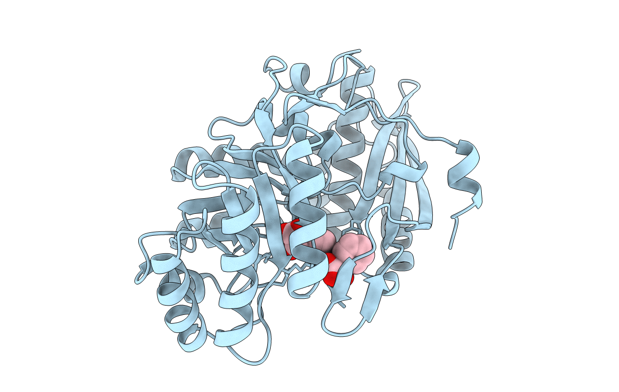 1MDL image