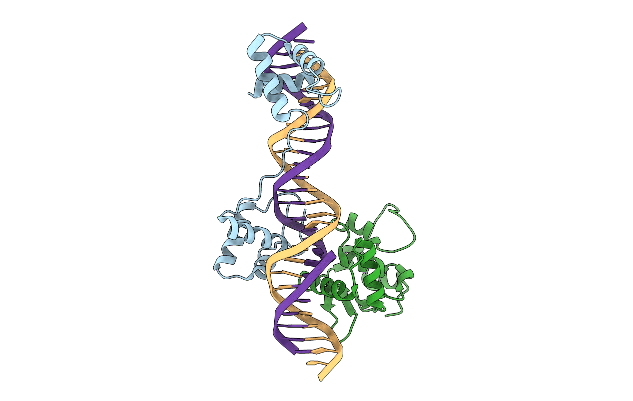 1MDM image