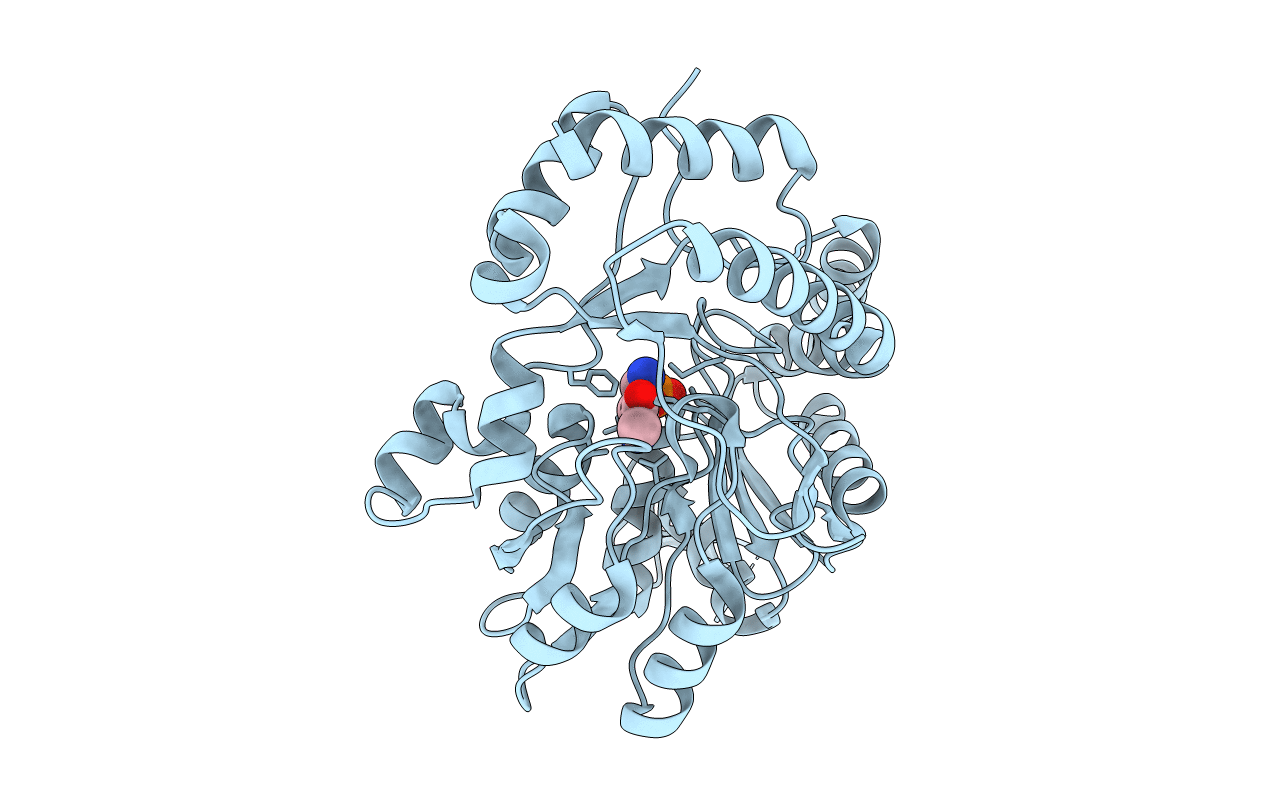 1MDO image
