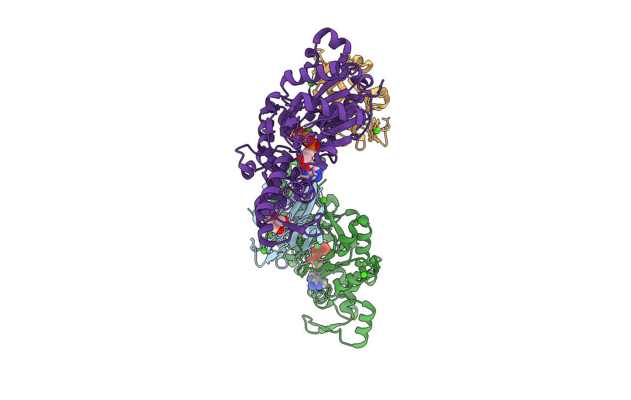 1MDU image