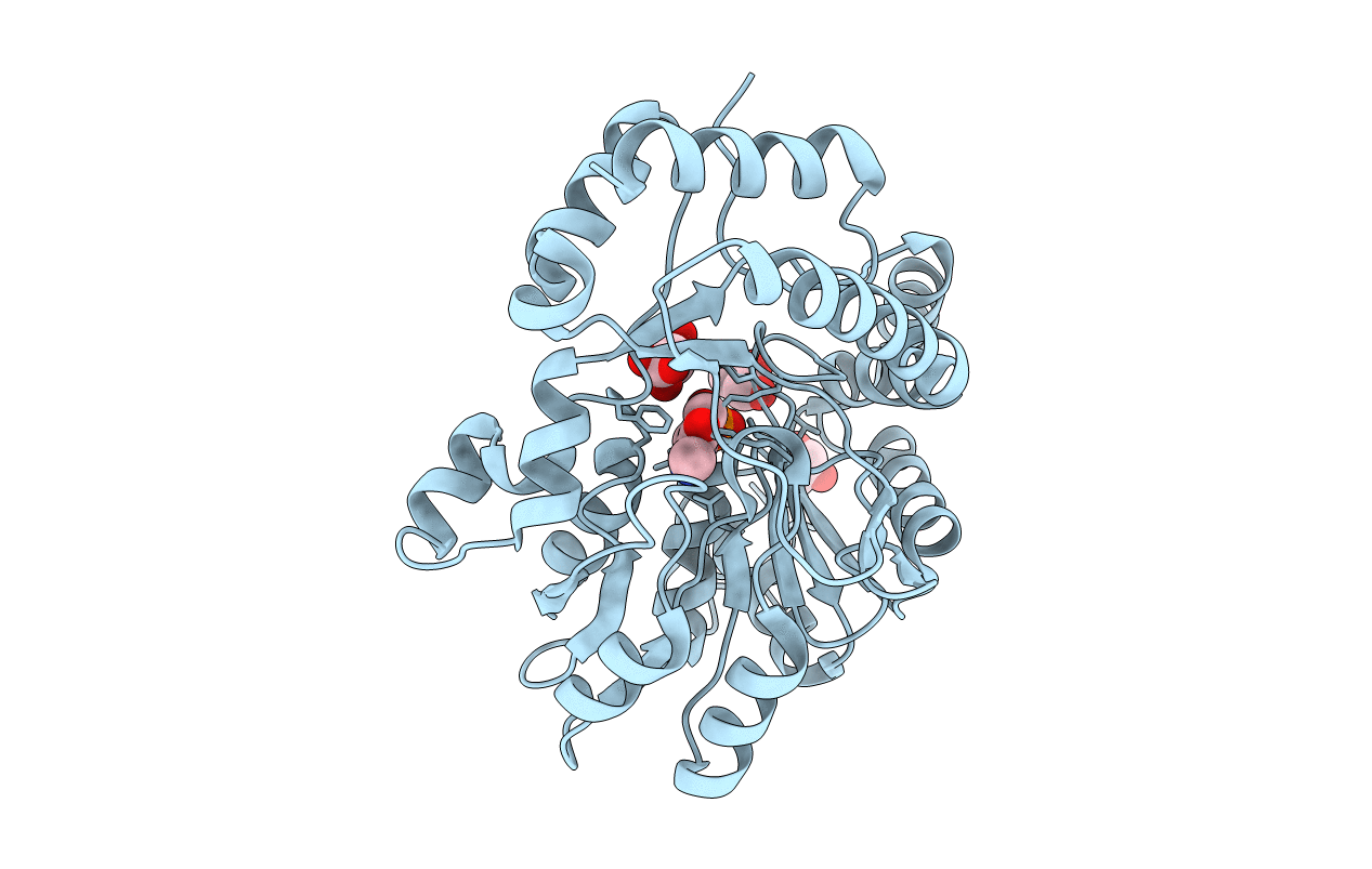 1MDX image
