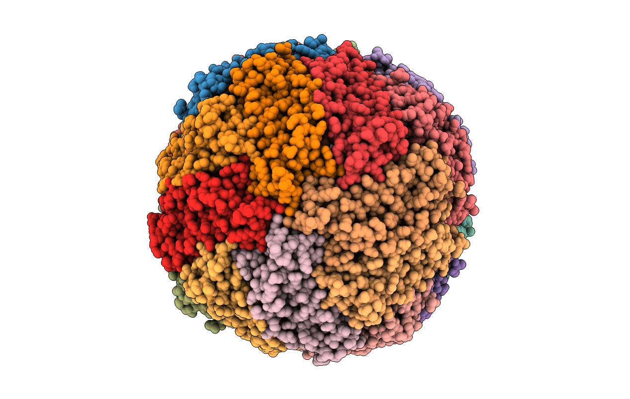 1MFR image