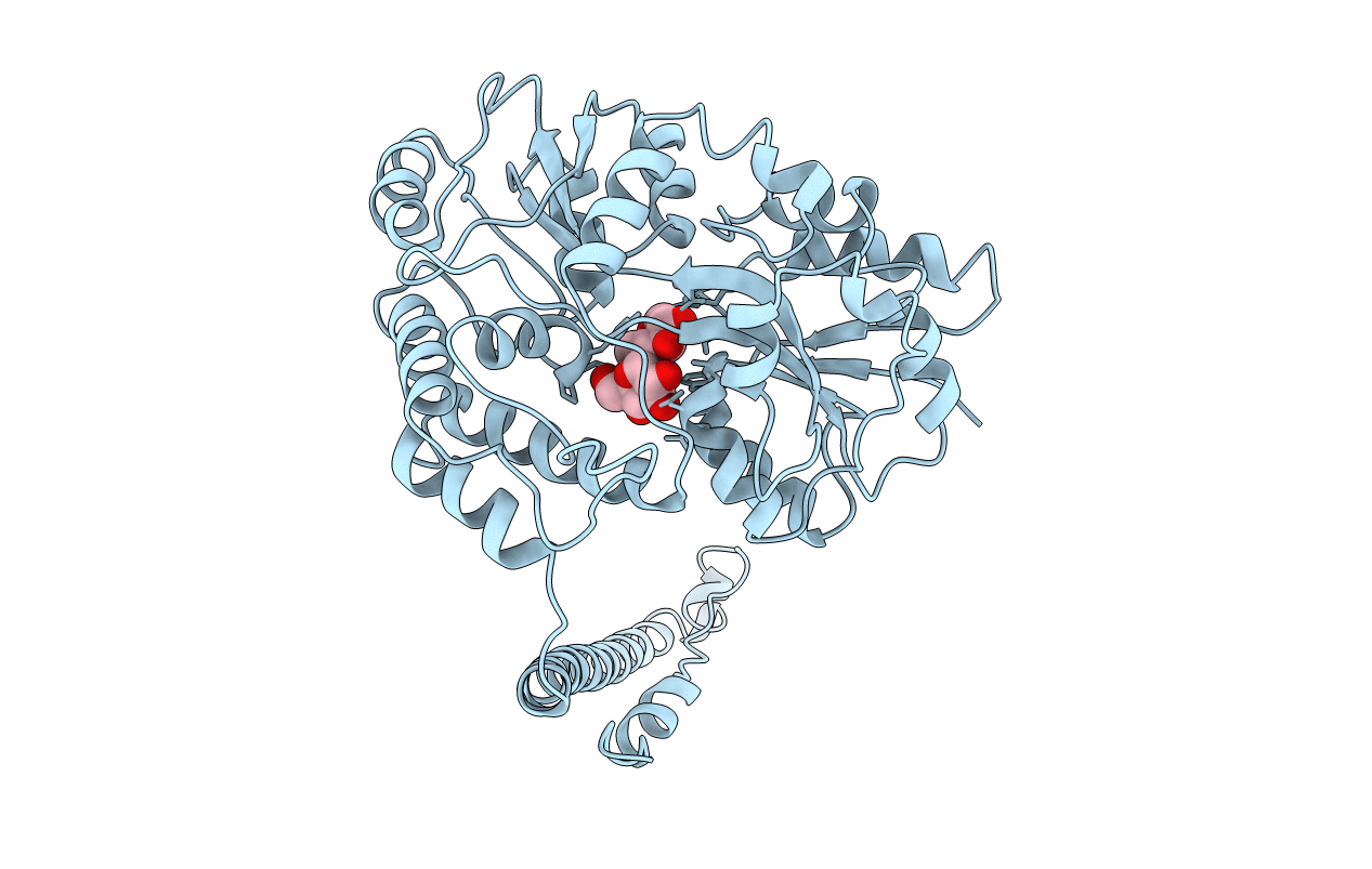 1MG1 image