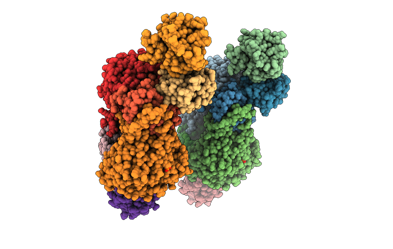 1MG2 image
