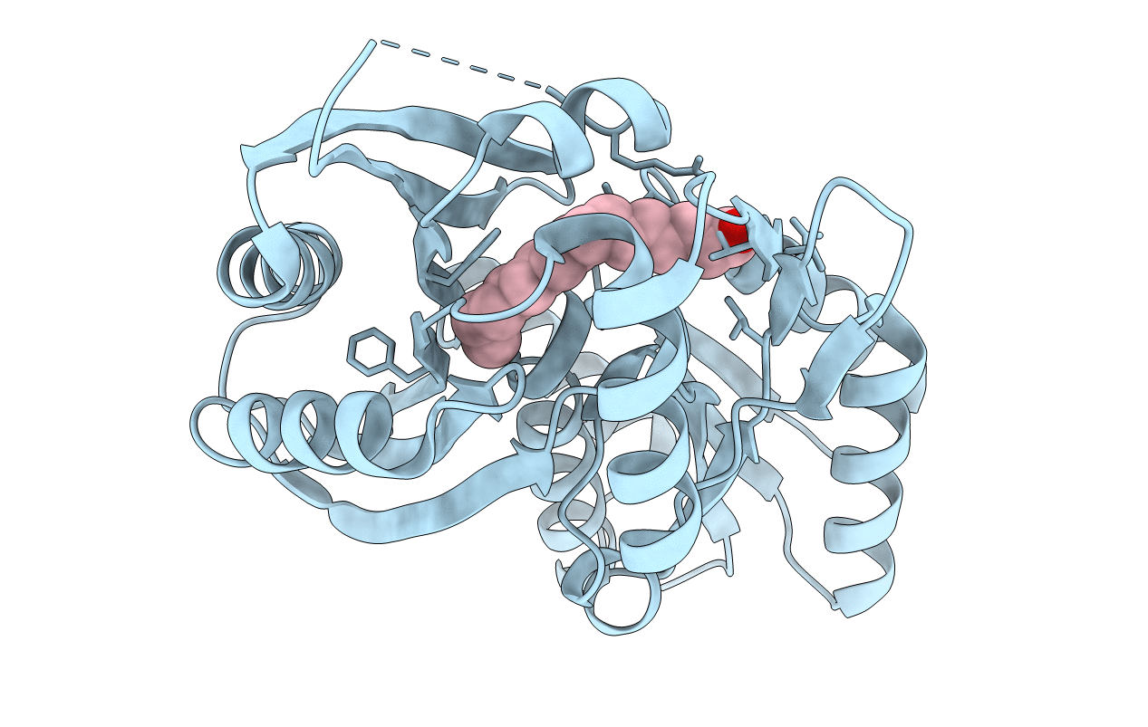 1MGP image