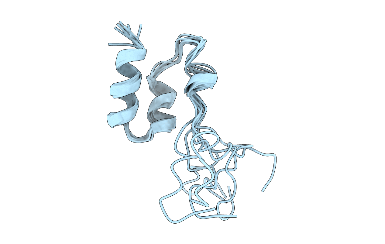 1MGX image
