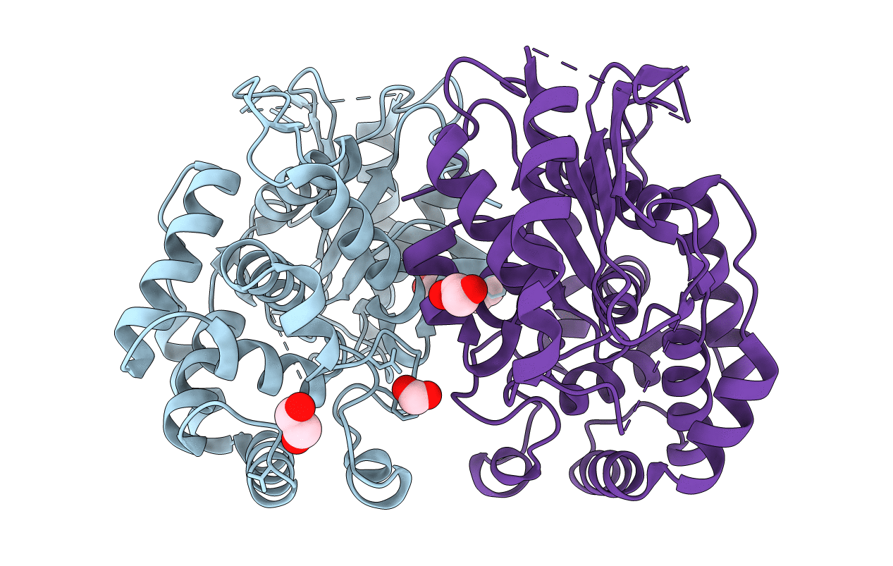 1MKI image