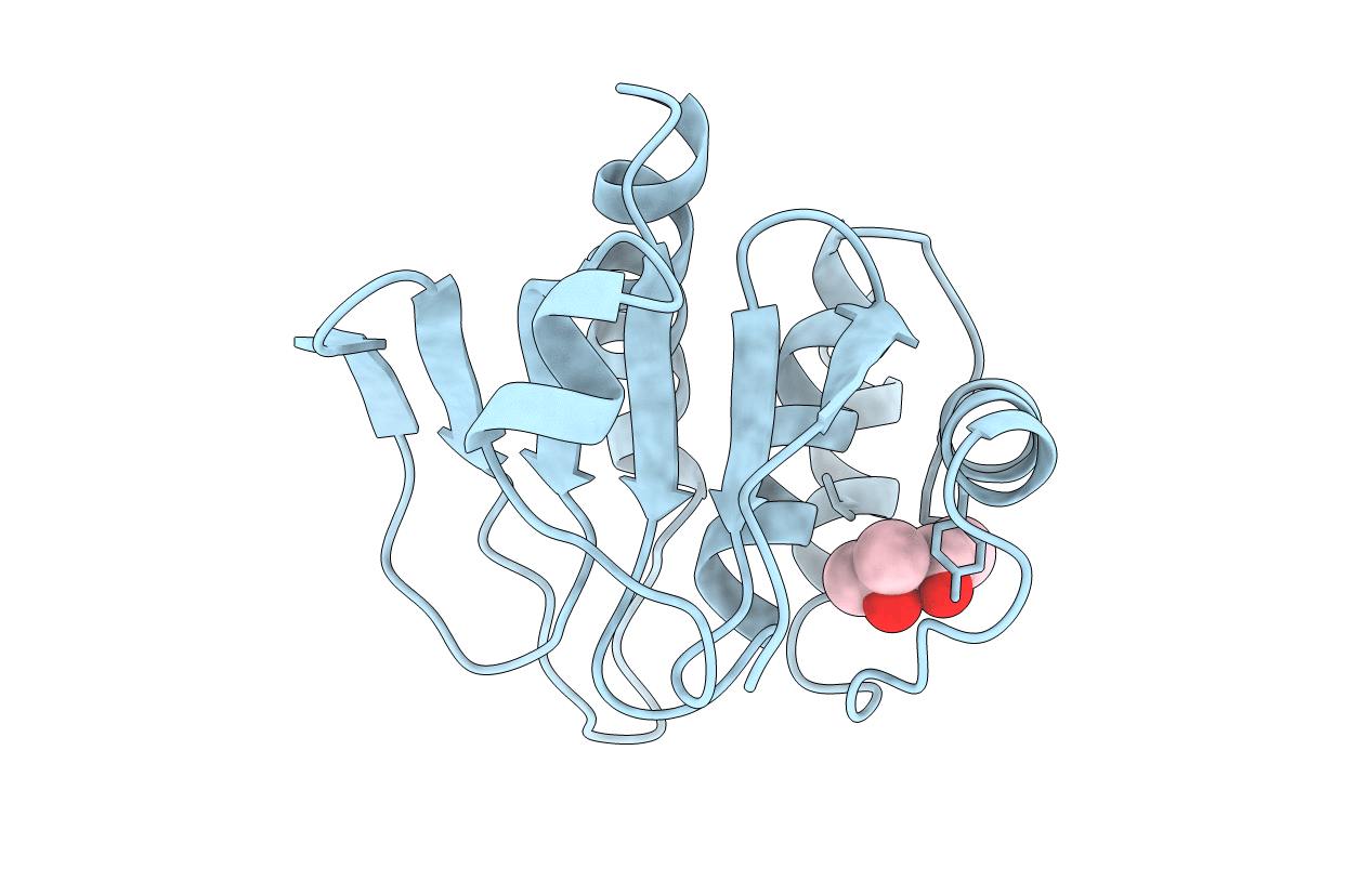 1MKP image