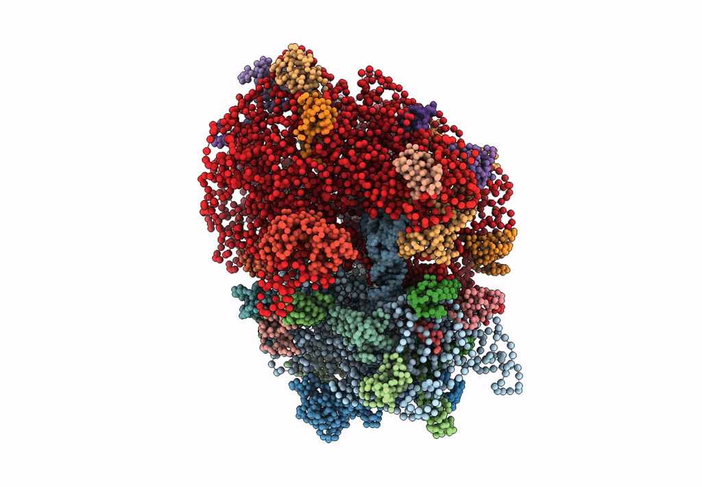 1ML5 image