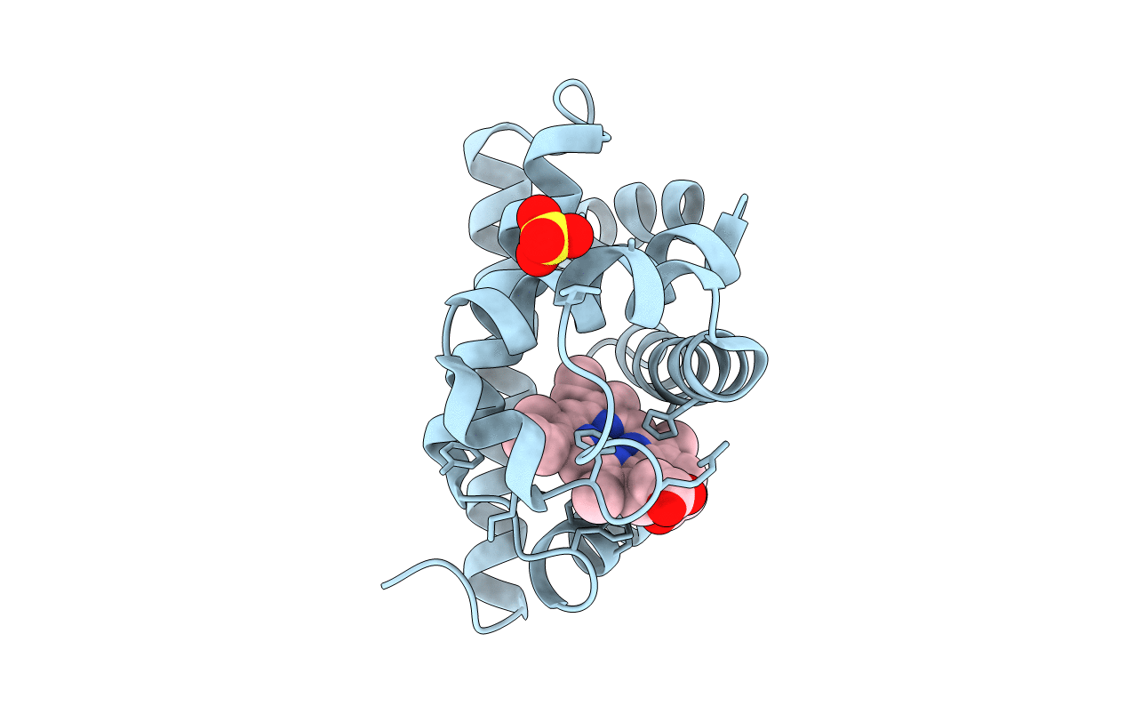 1MLH image
