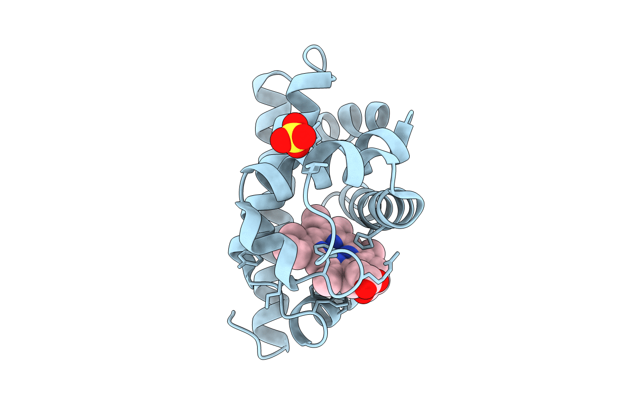 1MLL image