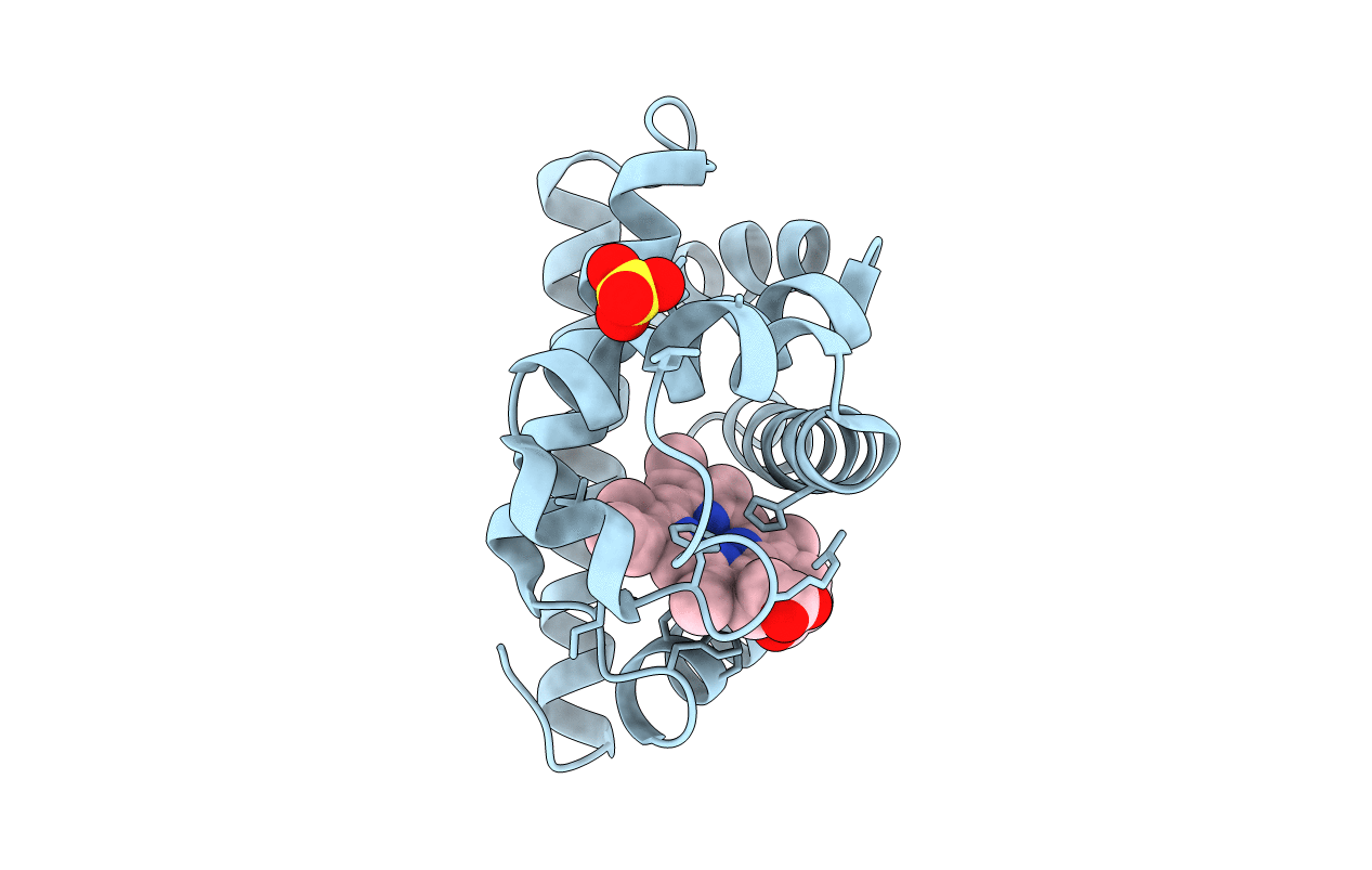 1MLR image