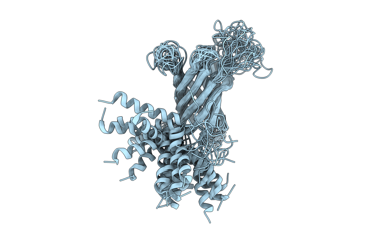 1MM5 image