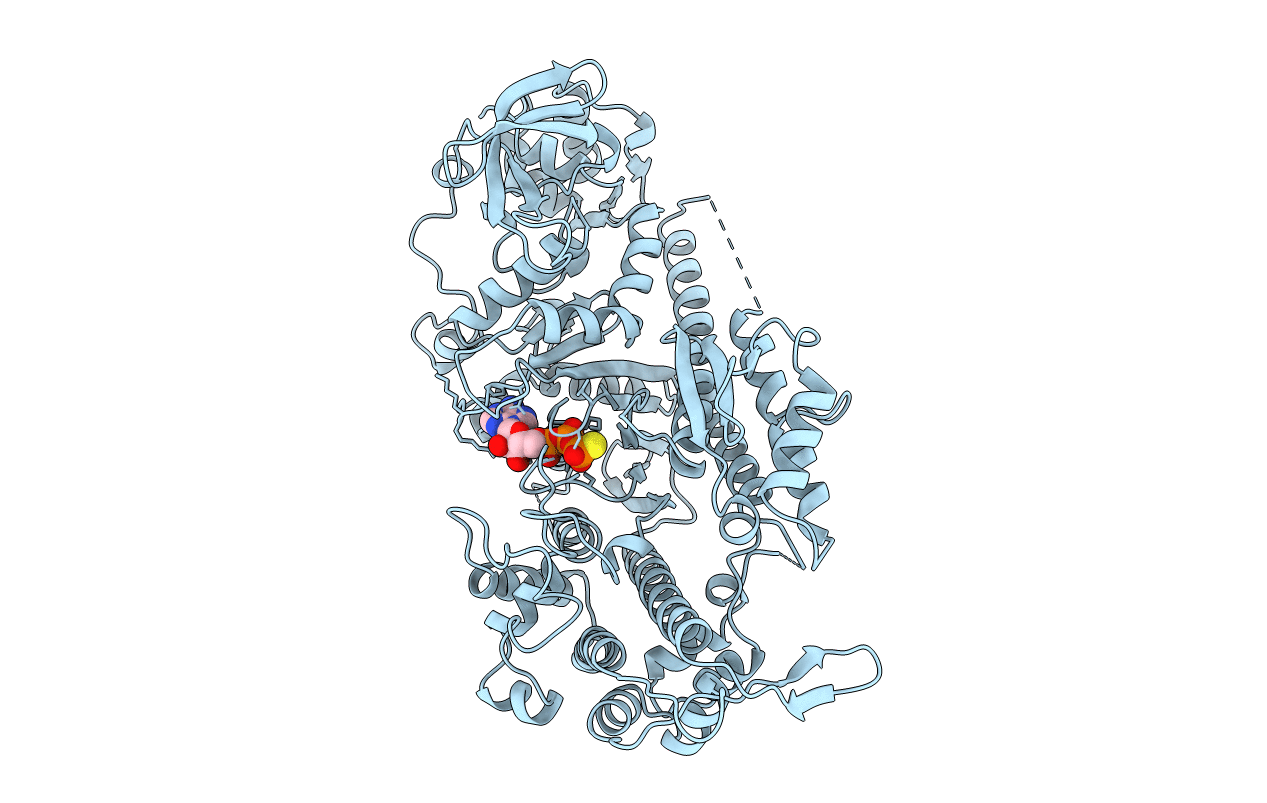 1MMG image