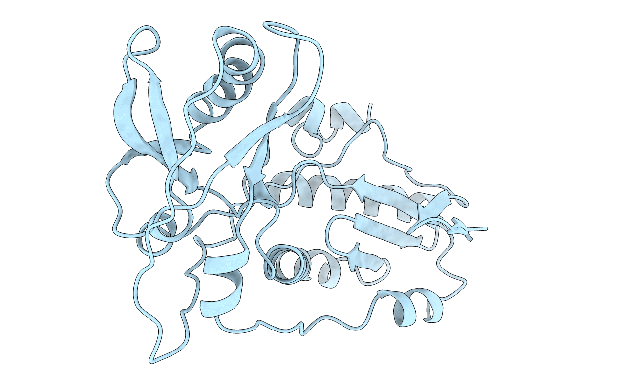 1MML image