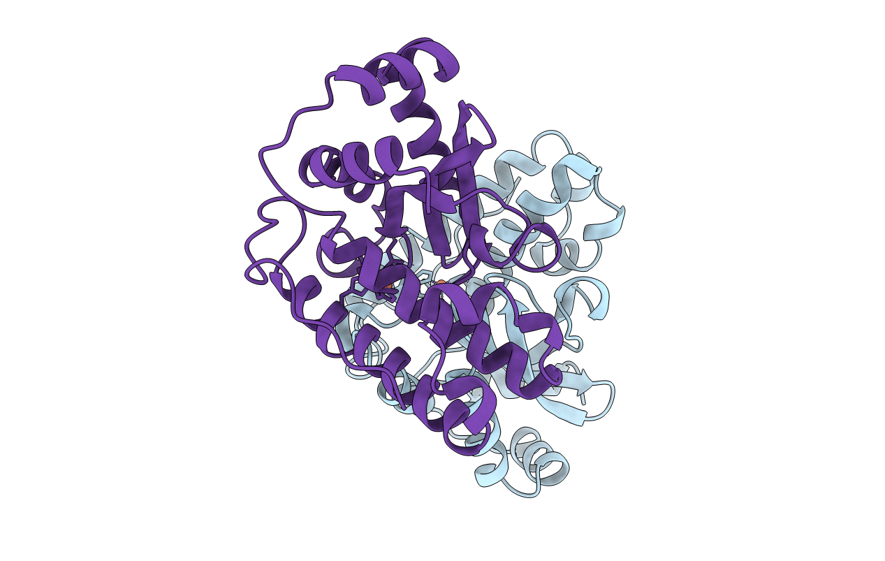 1MMM image