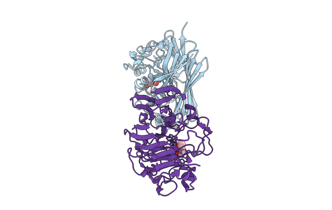 1MMX image