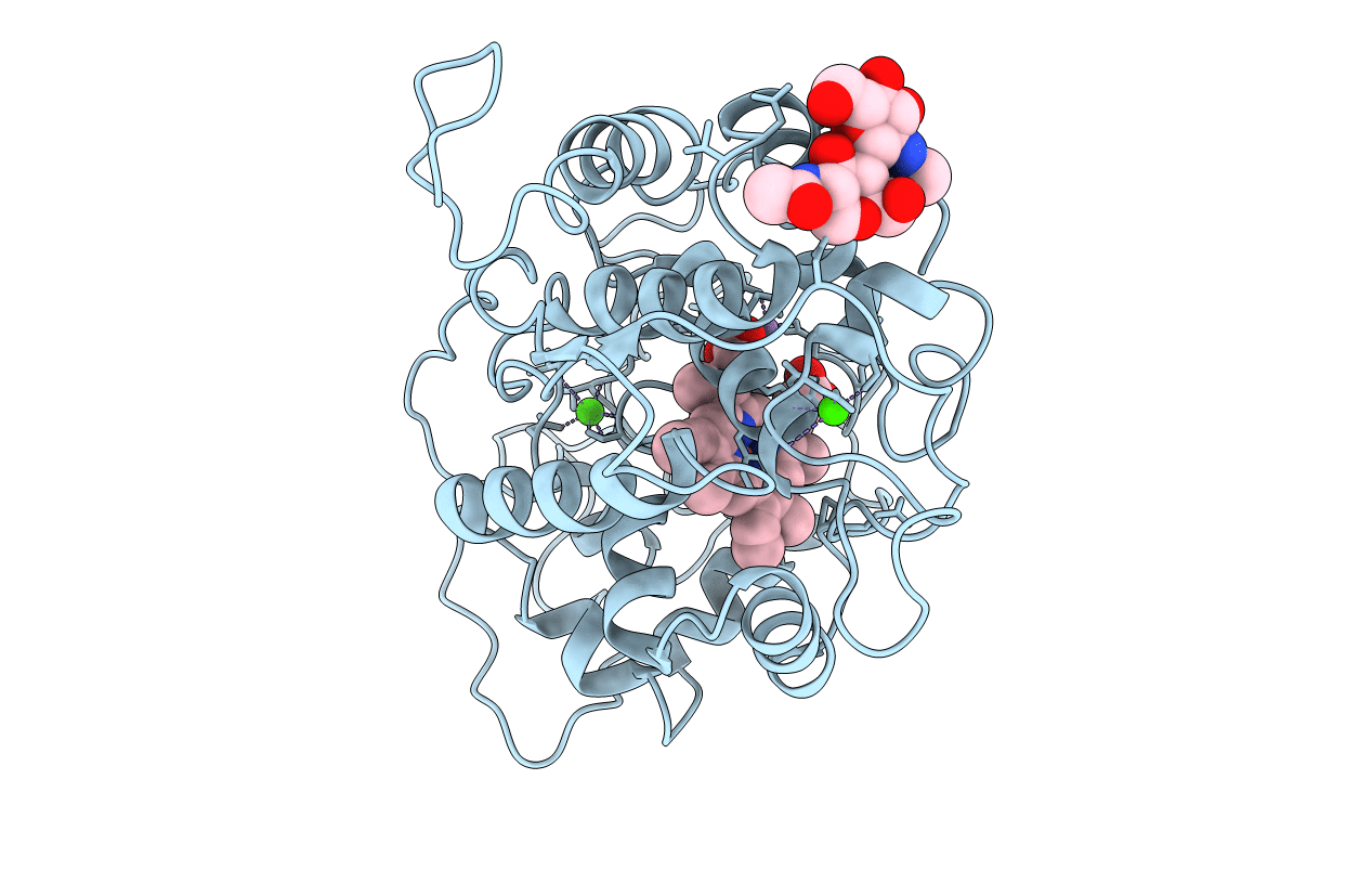 1MNP image