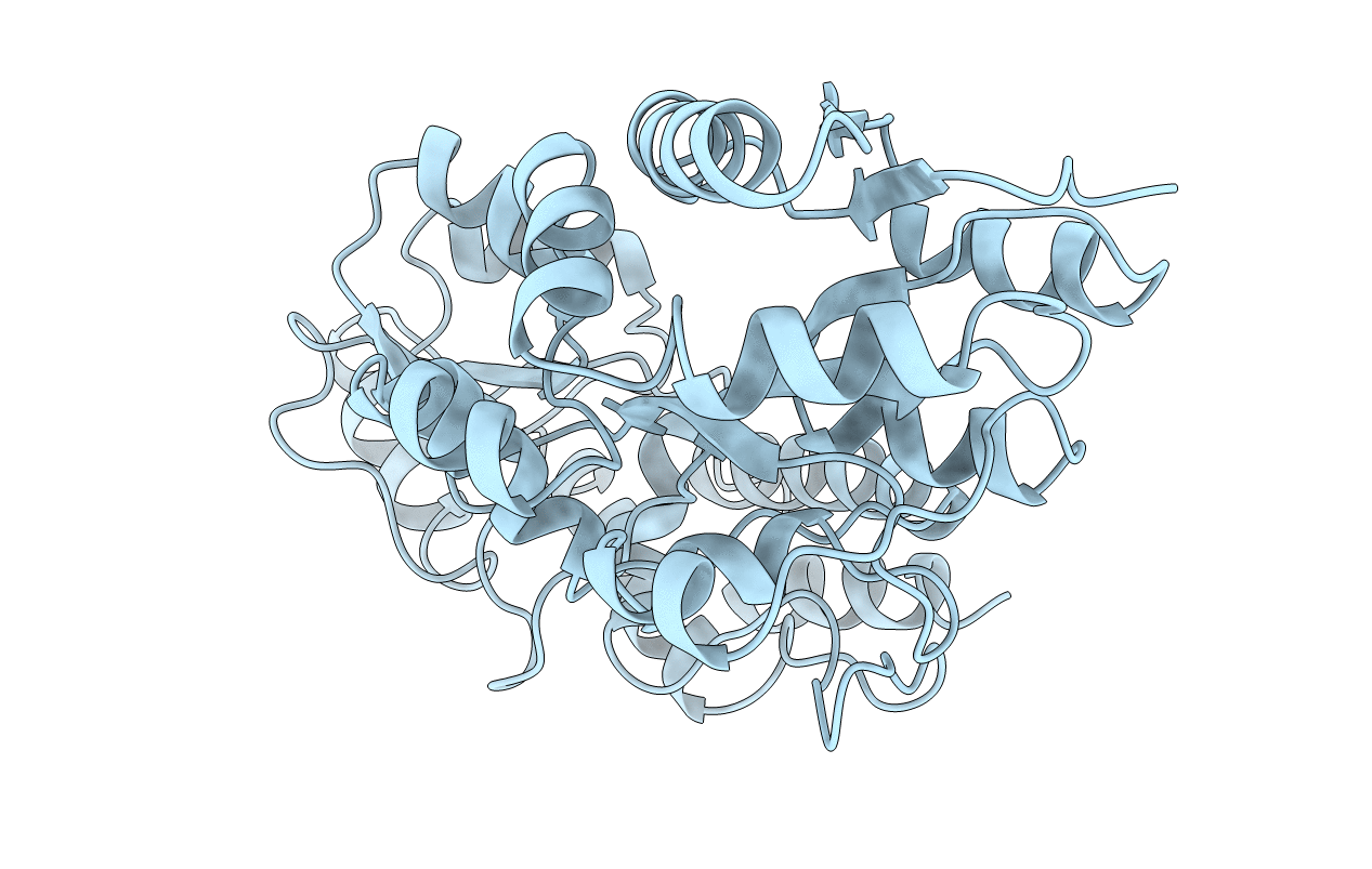 1MPB image