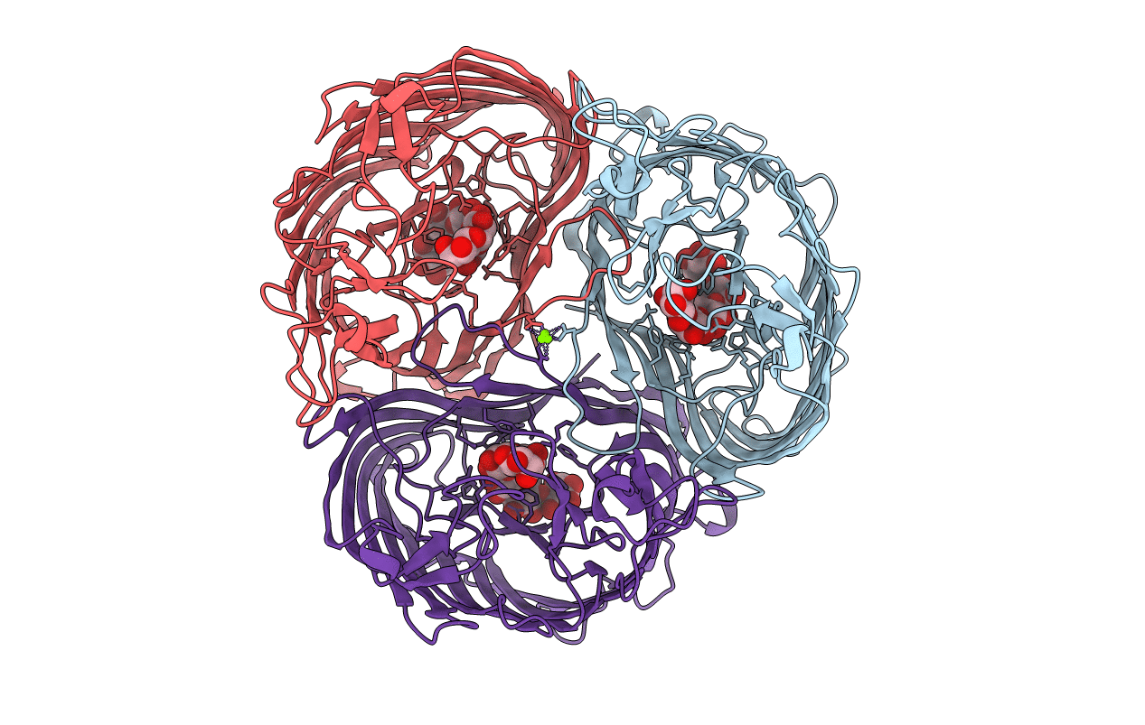 1MPO image
