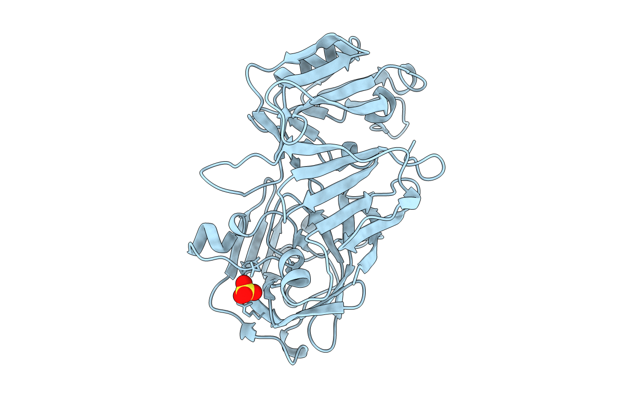 1MPP image