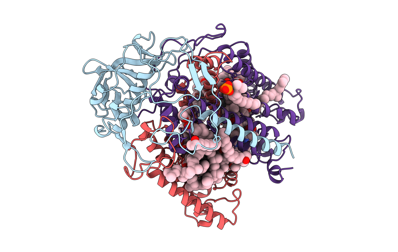 1MPS image