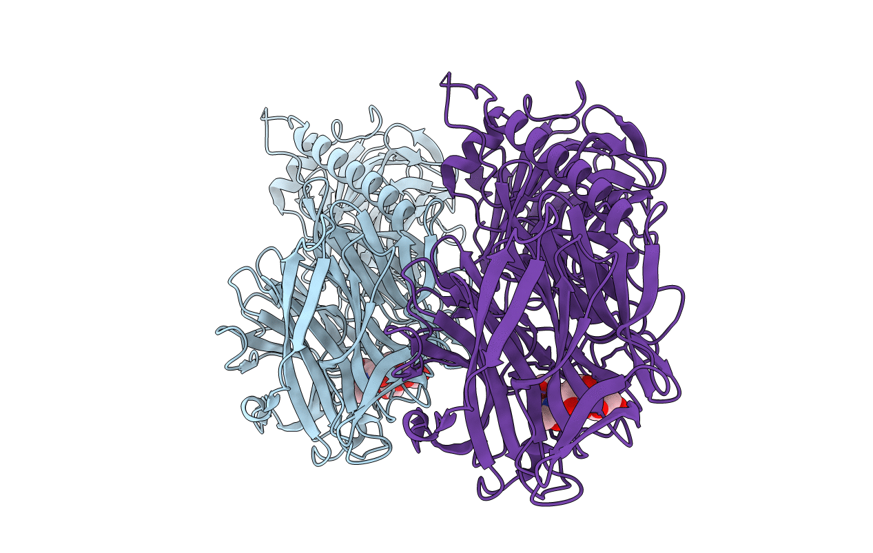 1MS1 image
