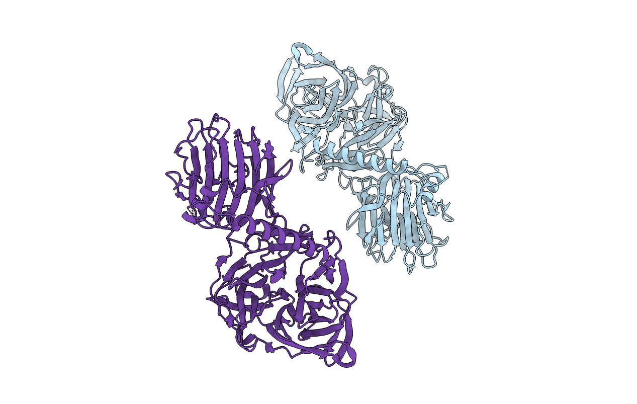 1MS5 image