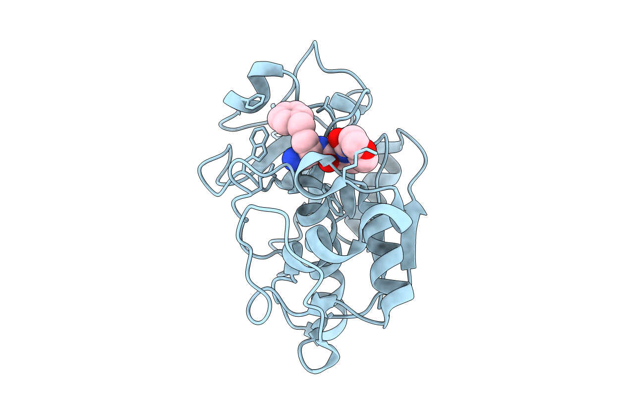 1MS6 image