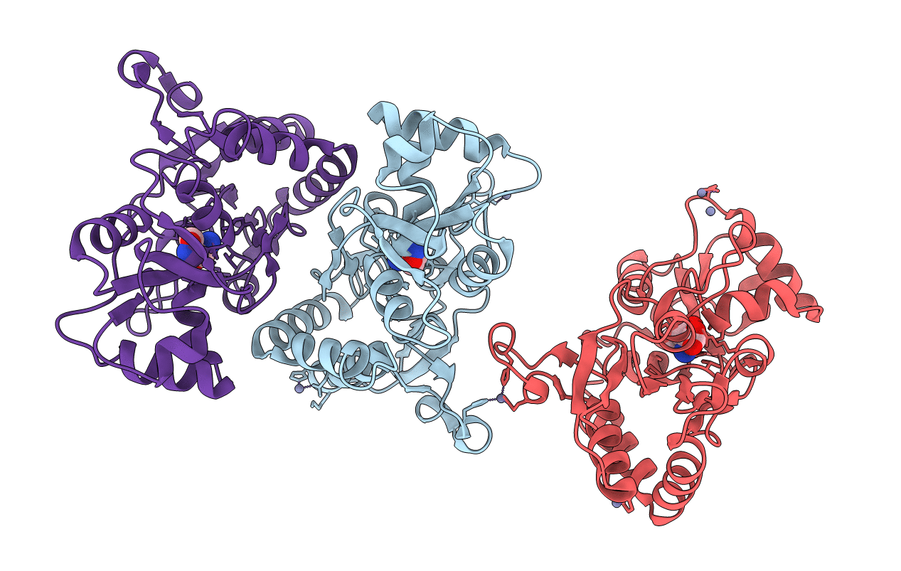 1MS7 image