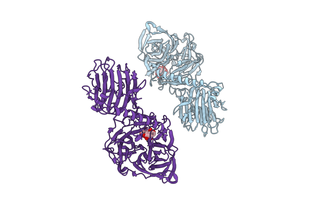 1MS9 image