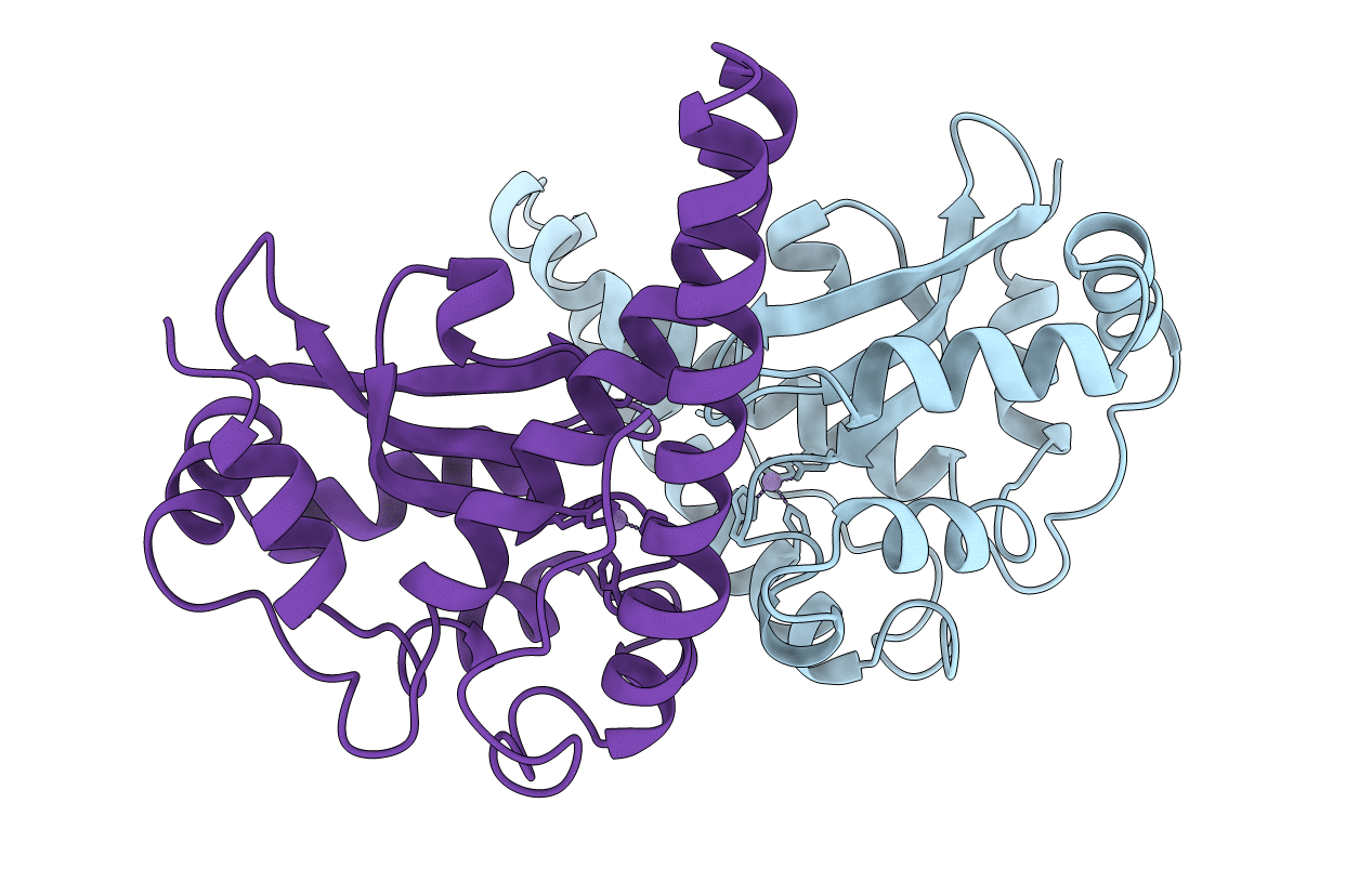 1MSD image