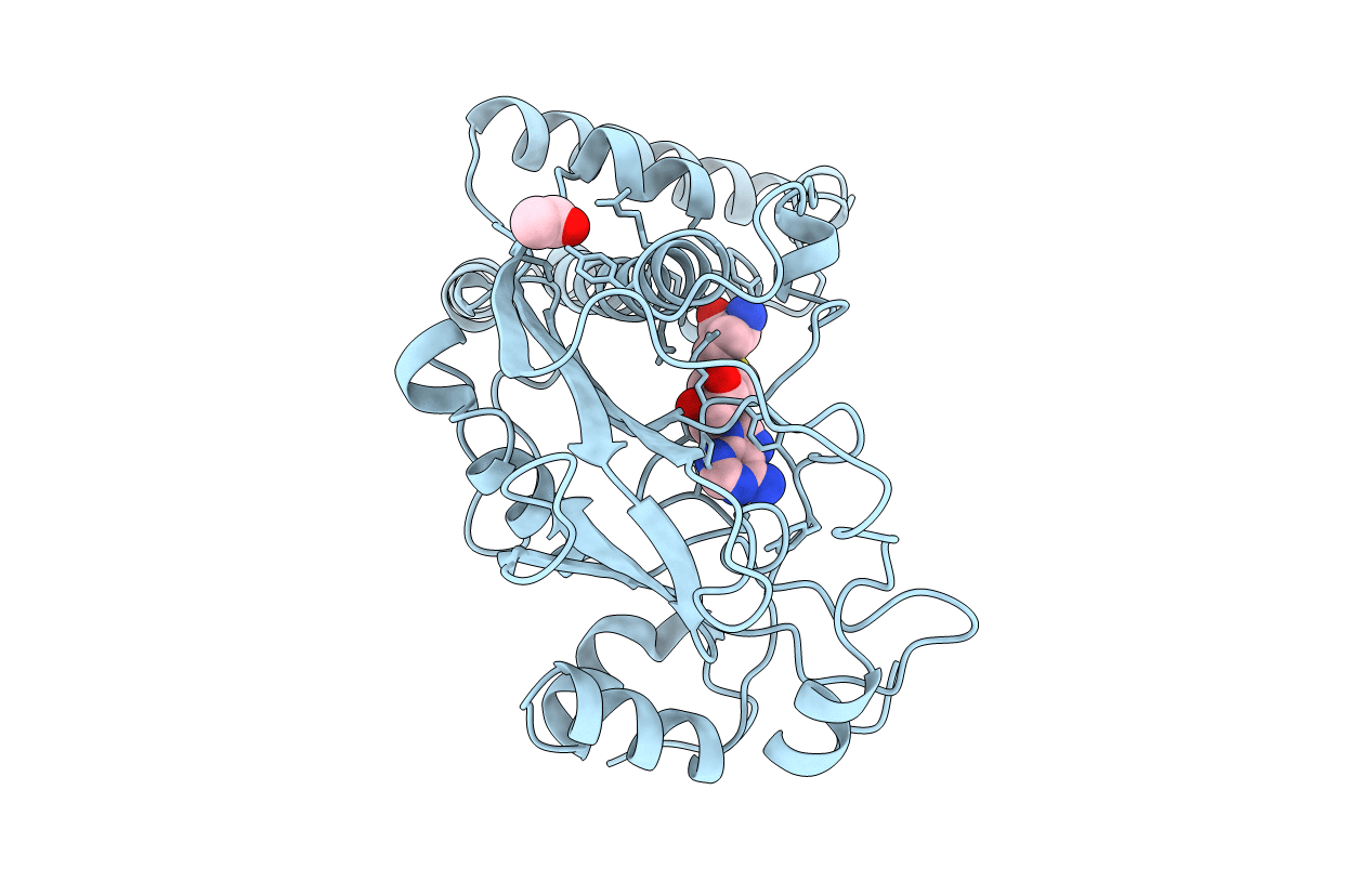 1msk image