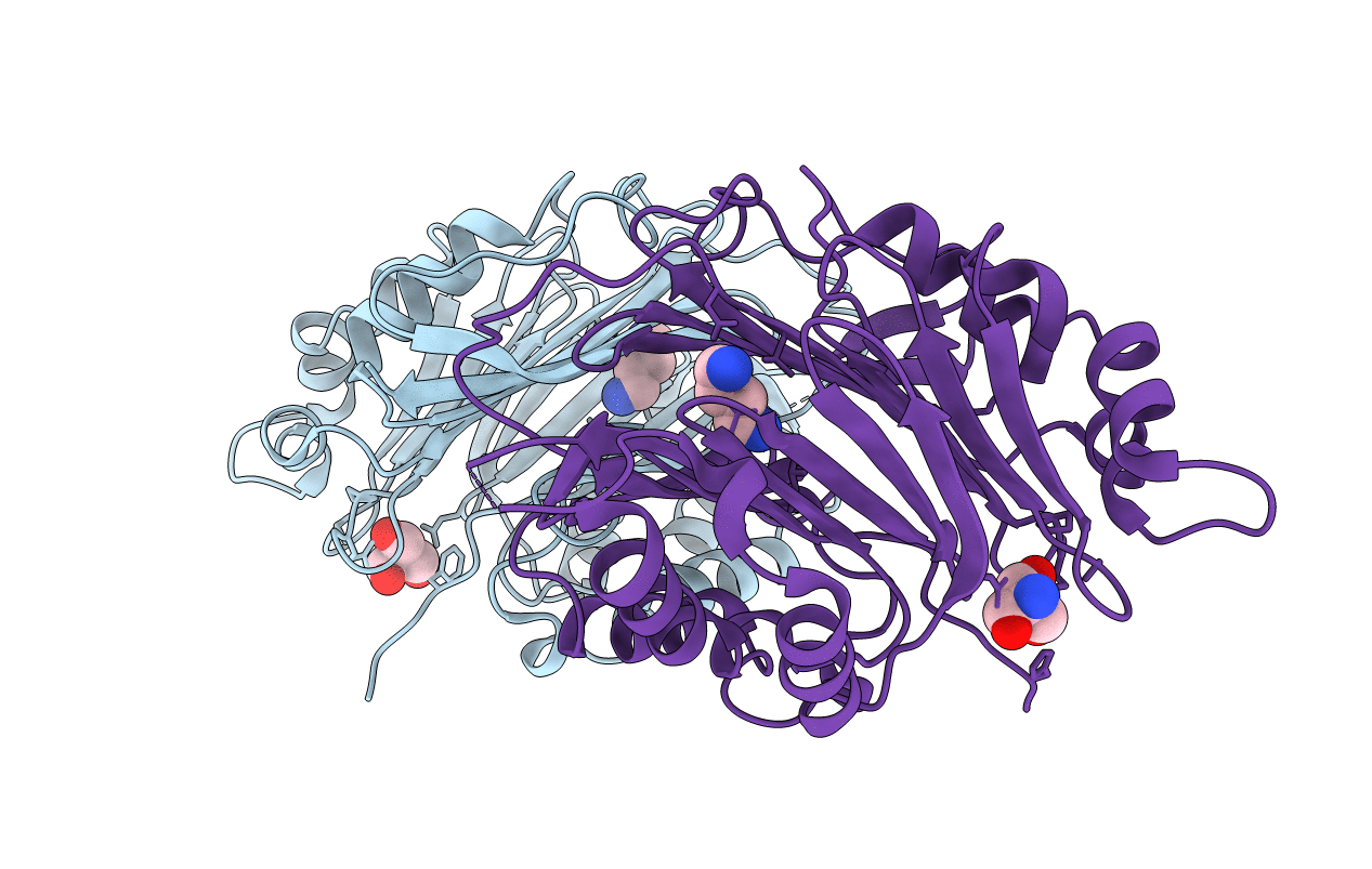 1MSV image