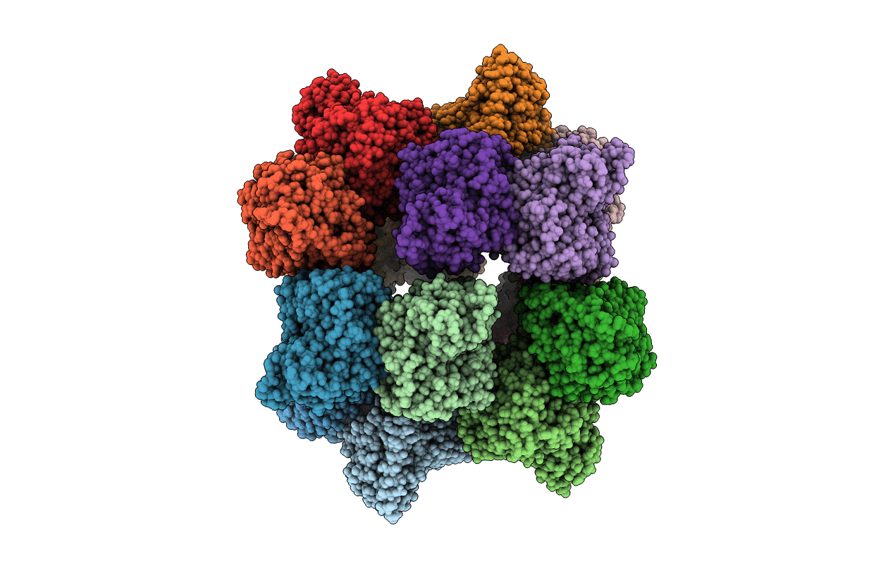 1MT5 image