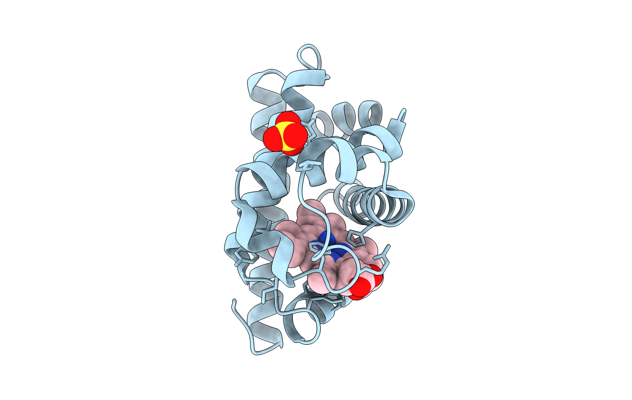 1MTI image