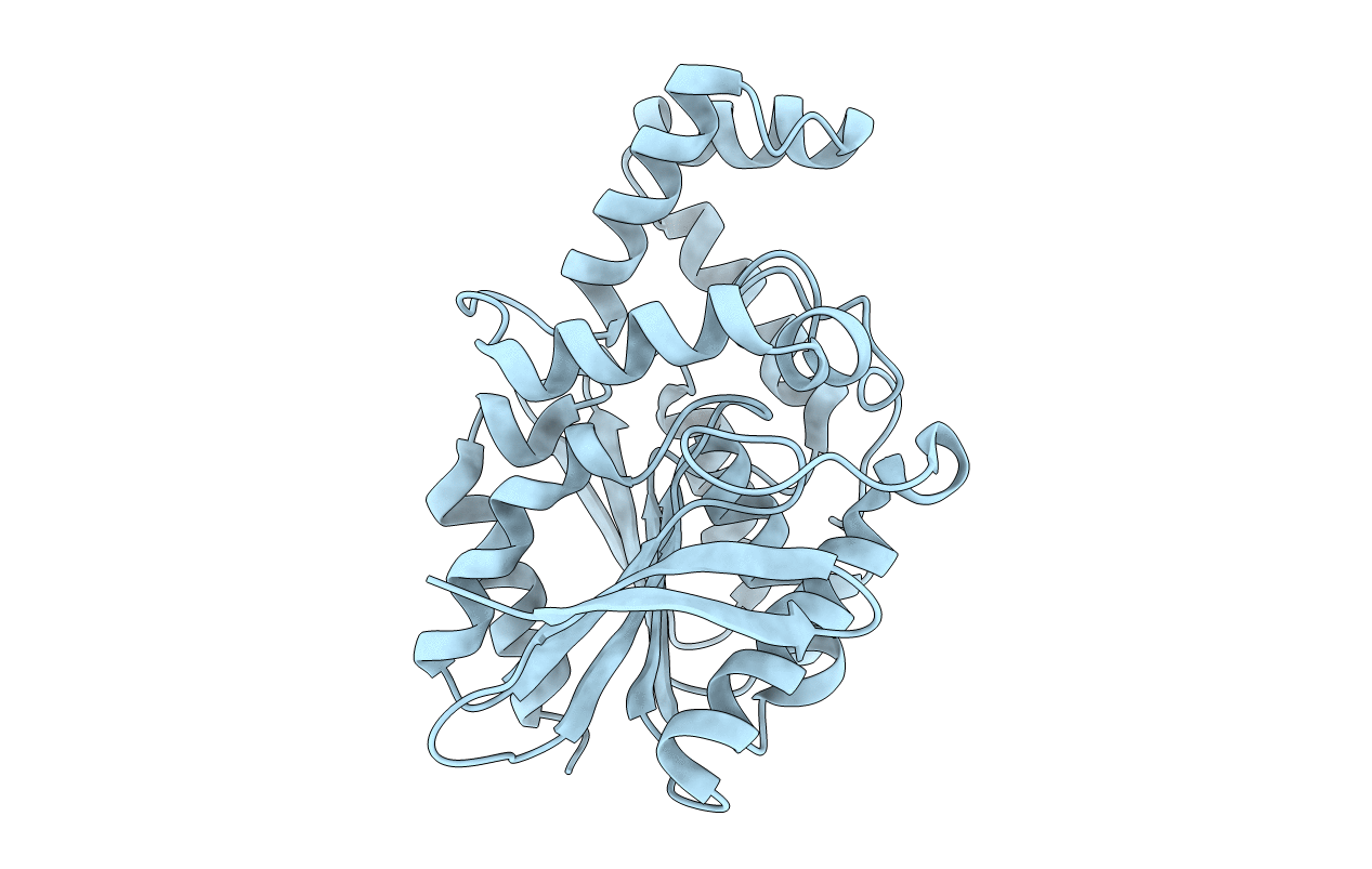 1MTZ image