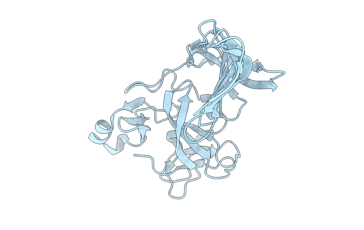 1MUF image