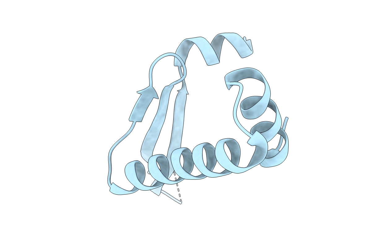 1MUL image