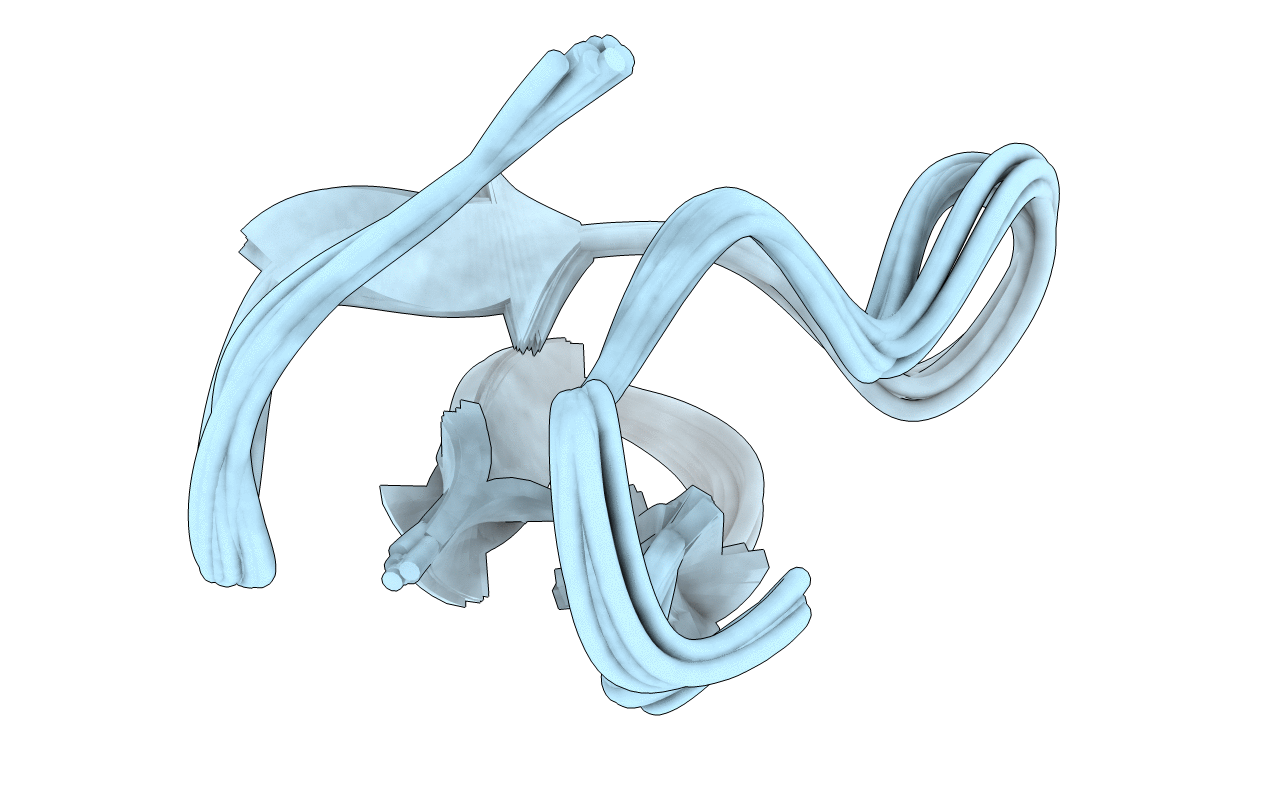 1MVI image