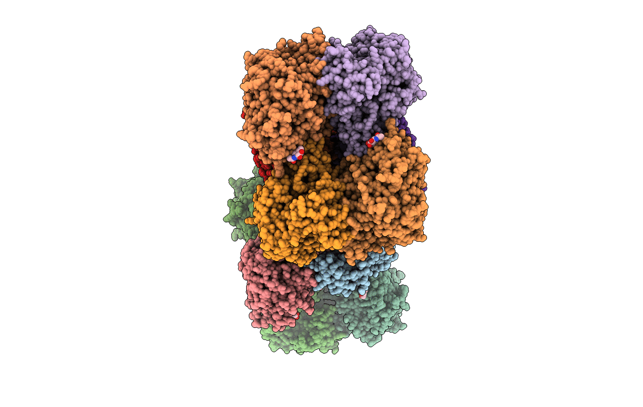 1MX9 image