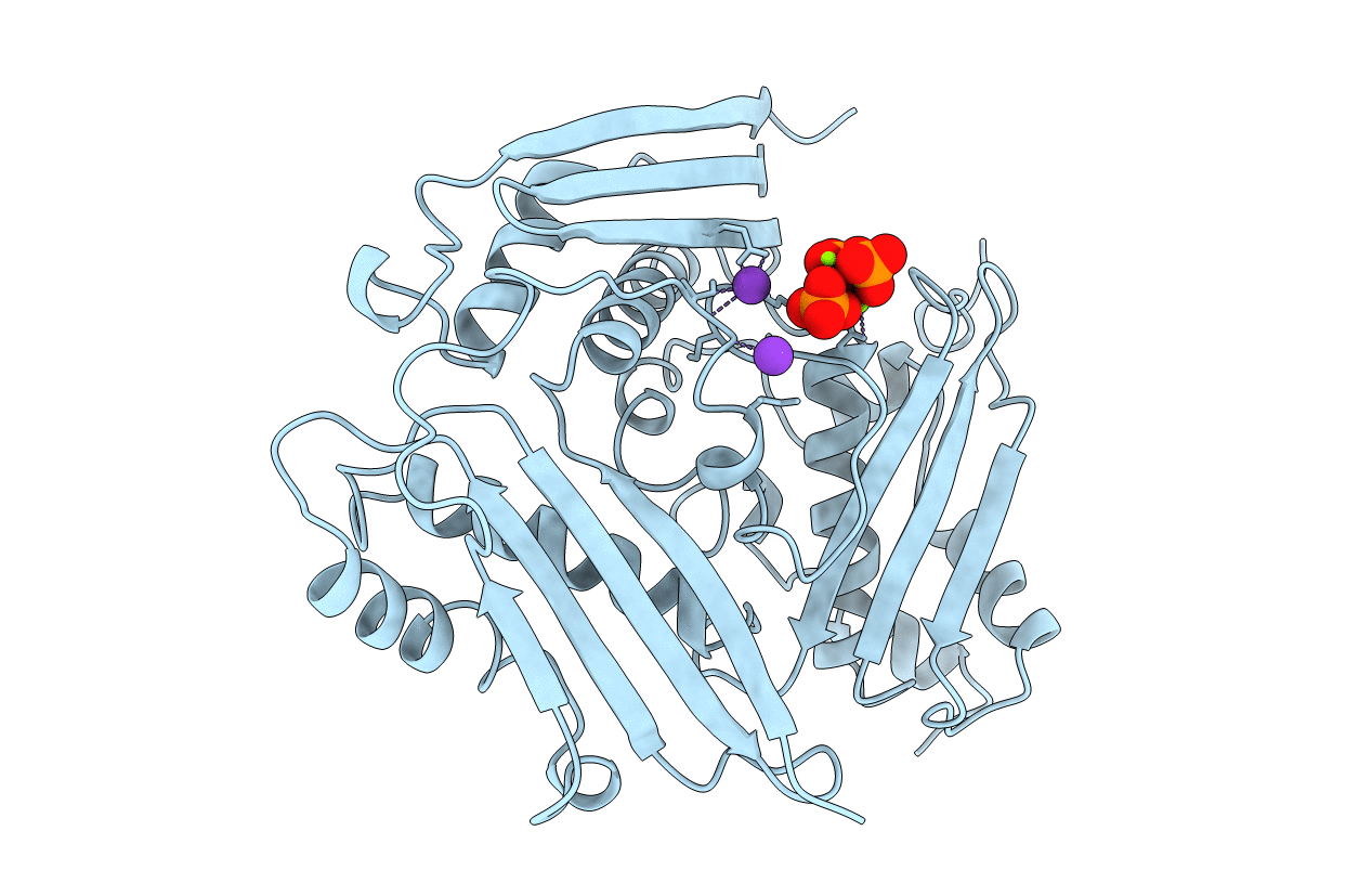 1MXA image