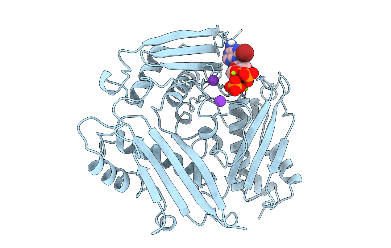 1MXC image