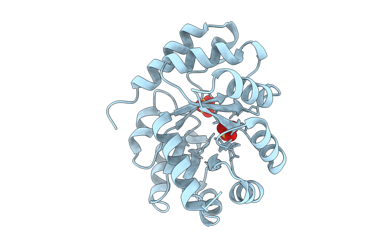 1MXS image