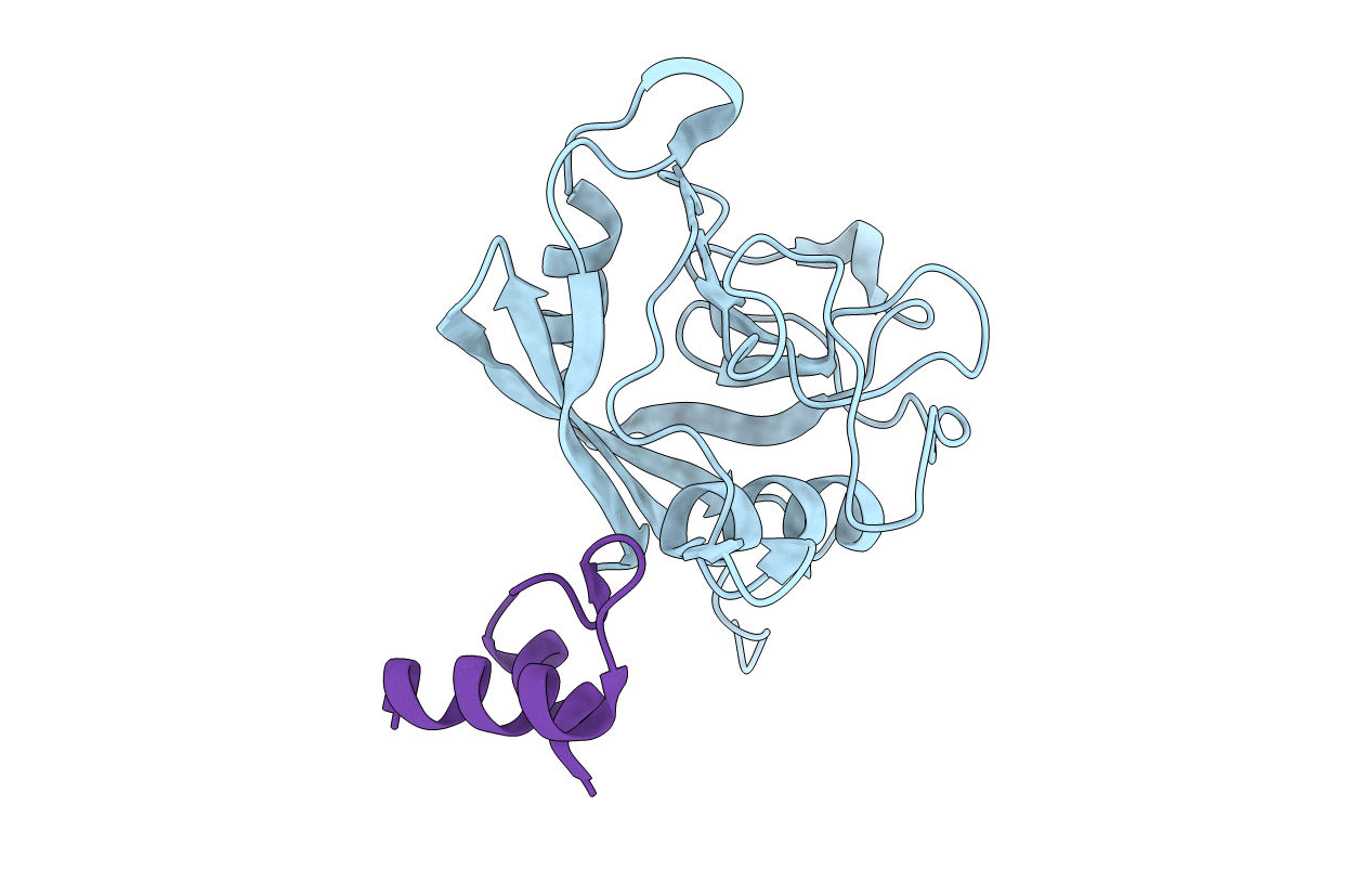 1MZW image