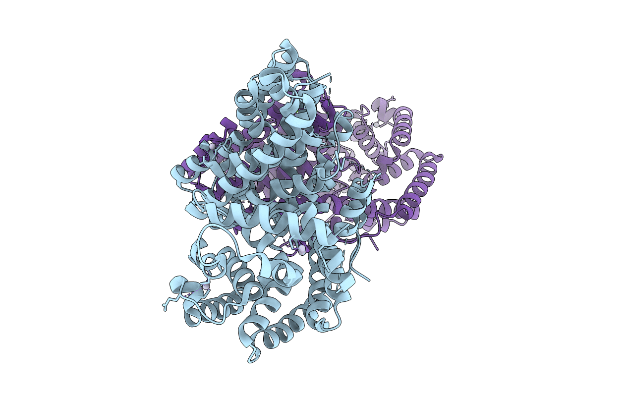 1N1B image