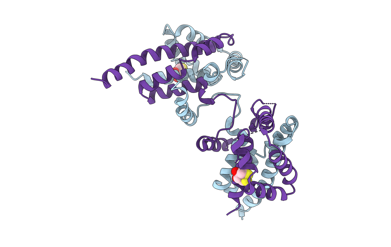 1N1C image