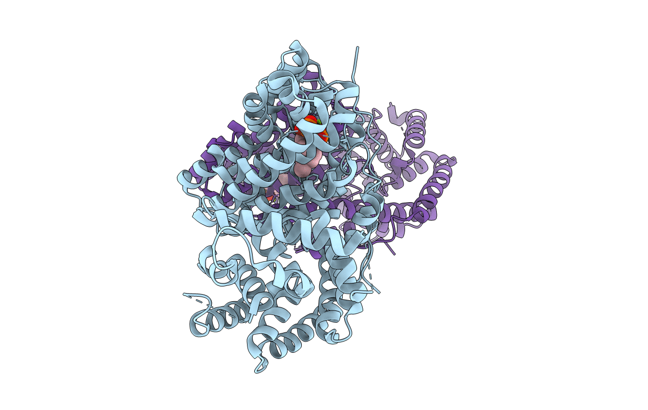 1N22 image